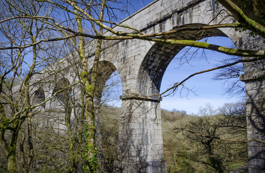 Treffry Viaduct Luxulyan Valley Ainsley Cocks